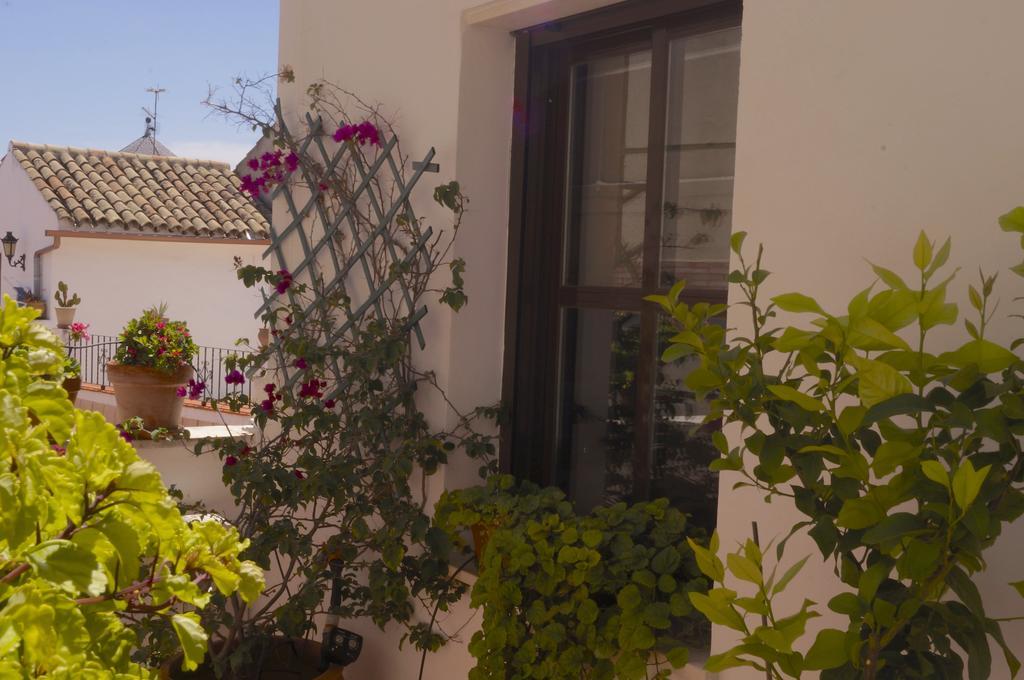 Apartament Penthouse Puerta De La Juderia Kordoba Zewnętrze zdjęcie